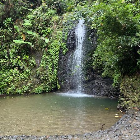Le Ketmie Nature Et Decouverte Fond-Saint-Denis Εξωτερικό φωτογραφία