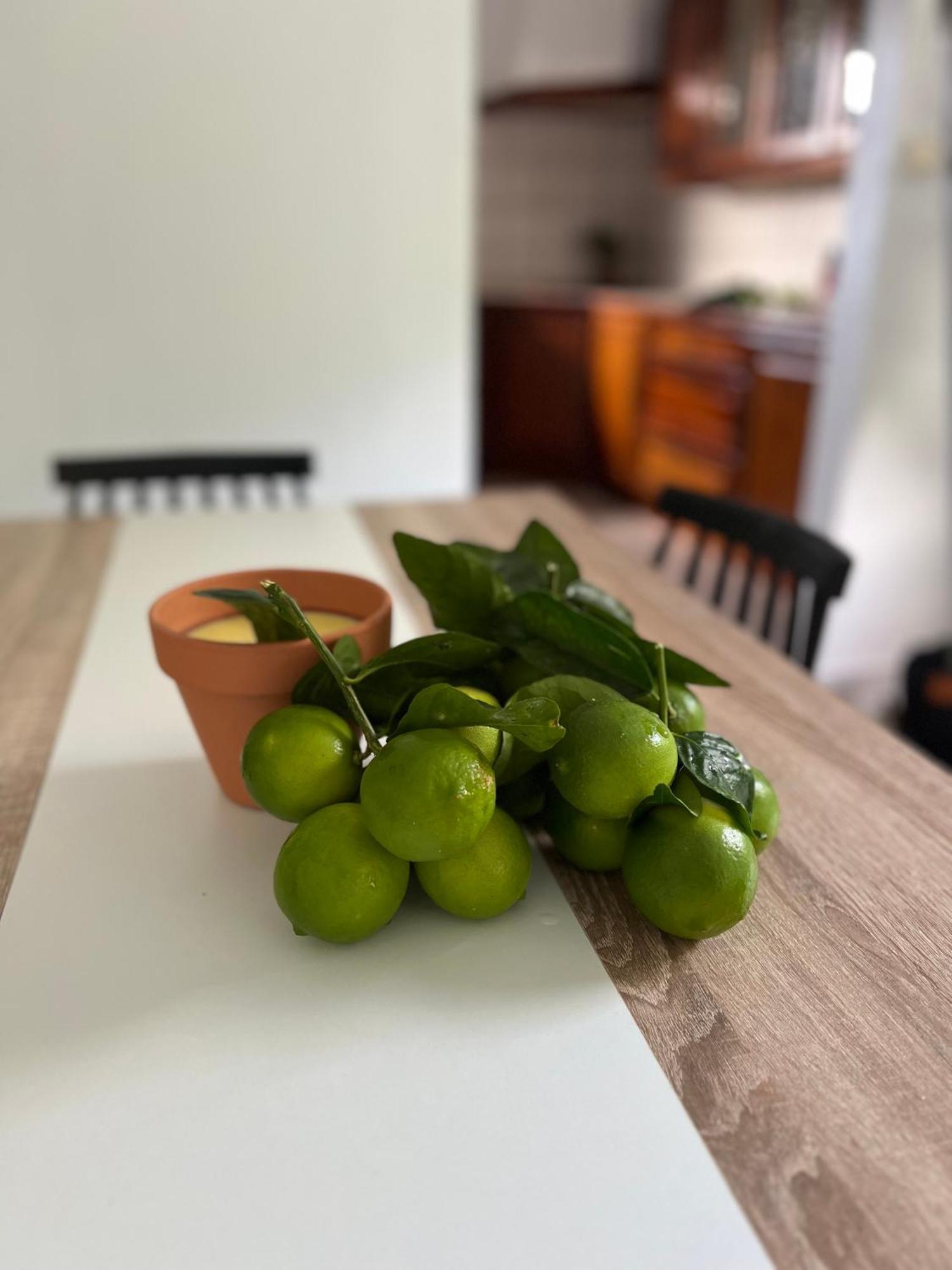 Le Ketmie Nature Et Decouverte Fond-Saint-Denis Εξωτερικό φωτογραφία