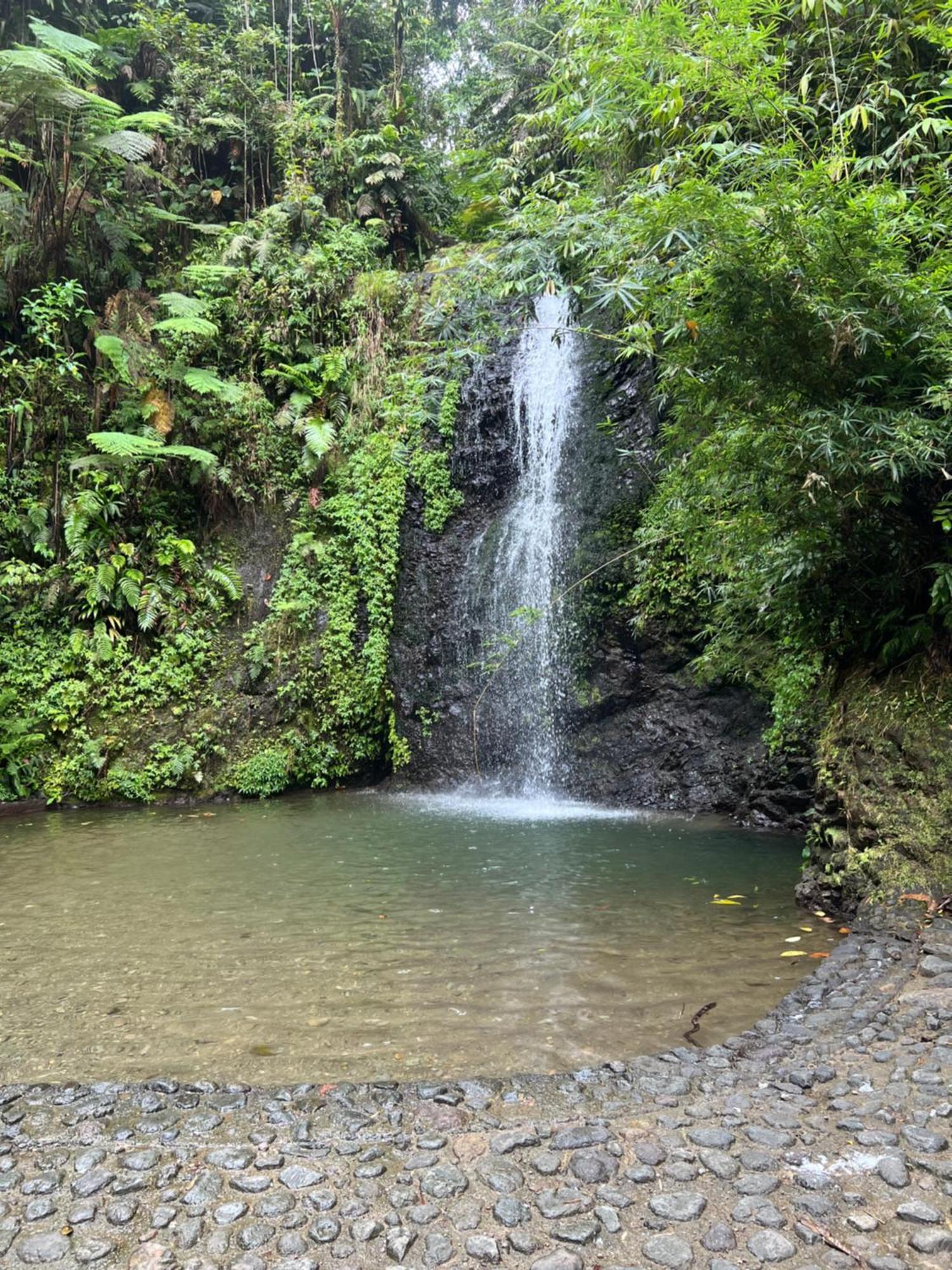 Le Ketmie Nature Et Decouverte Fond-Saint-Denis Εξωτερικό φωτογραφία