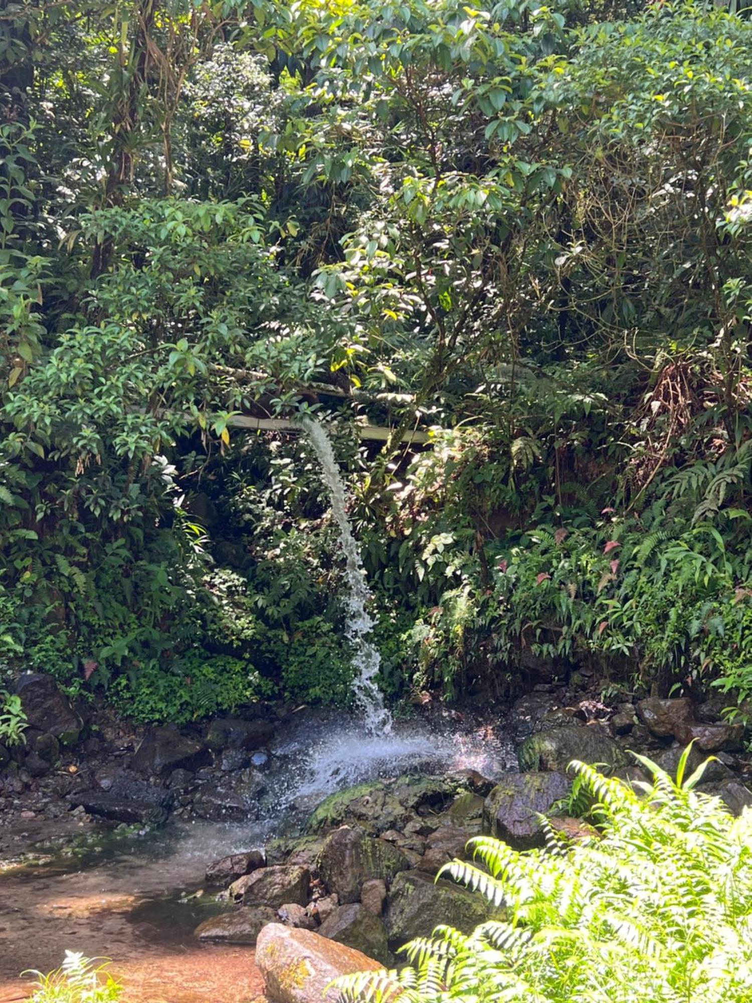 Le Ketmie Nature Et Decouverte Fond-Saint-Denis Εξωτερικό φωτογραφία