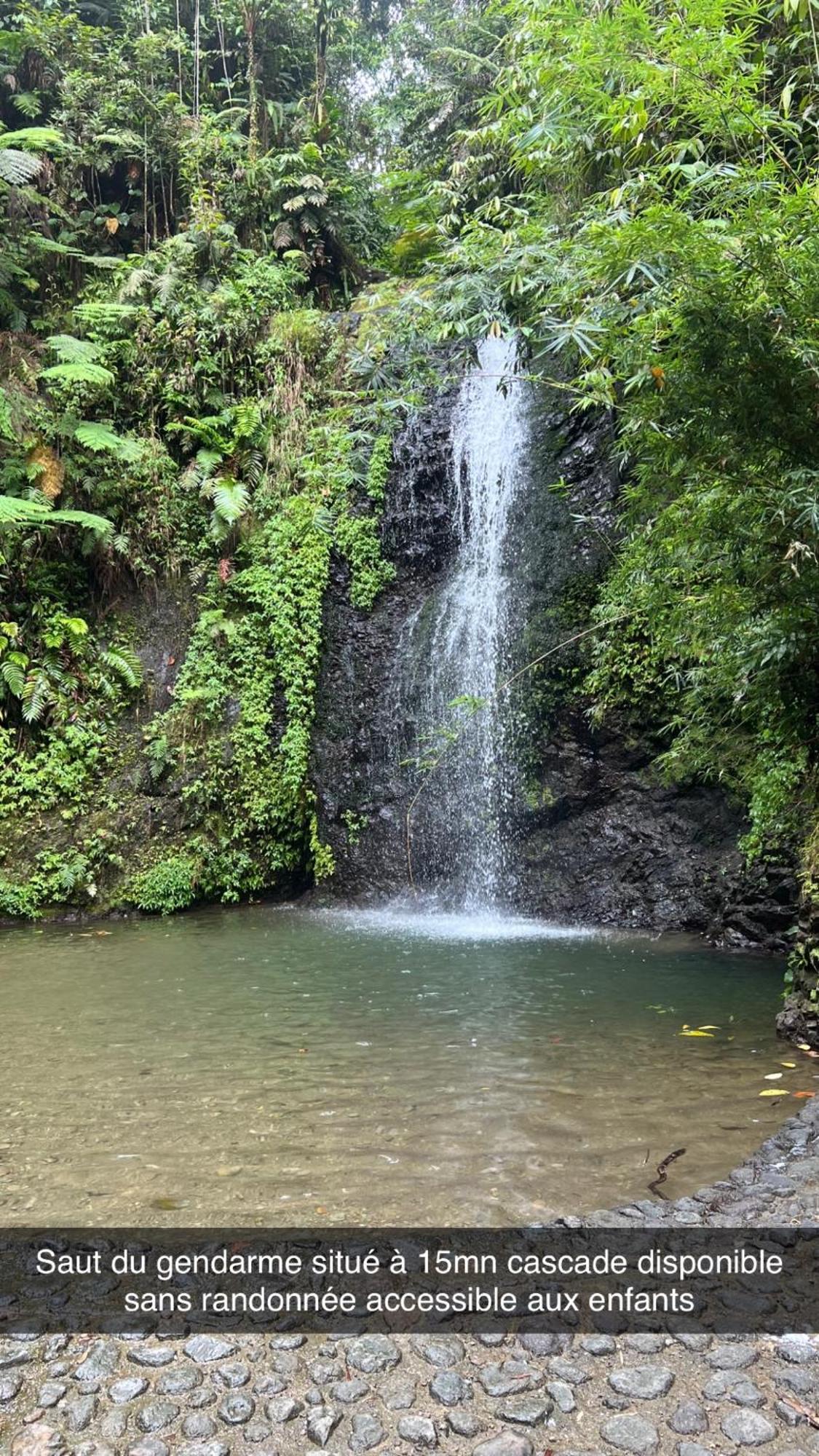Le Ketmie Nature Et Decouverte Fond-Saint-Denis Εξωτερικό φωτογραφία