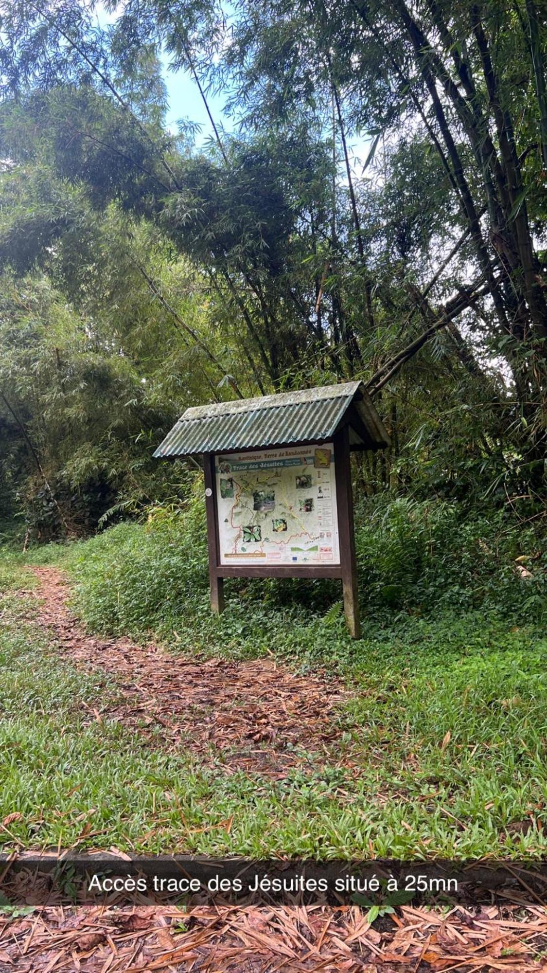 Le Ketmie Nature Et Decouverte Fond-Saint-Denis Εξωτερικό φωτογραφία