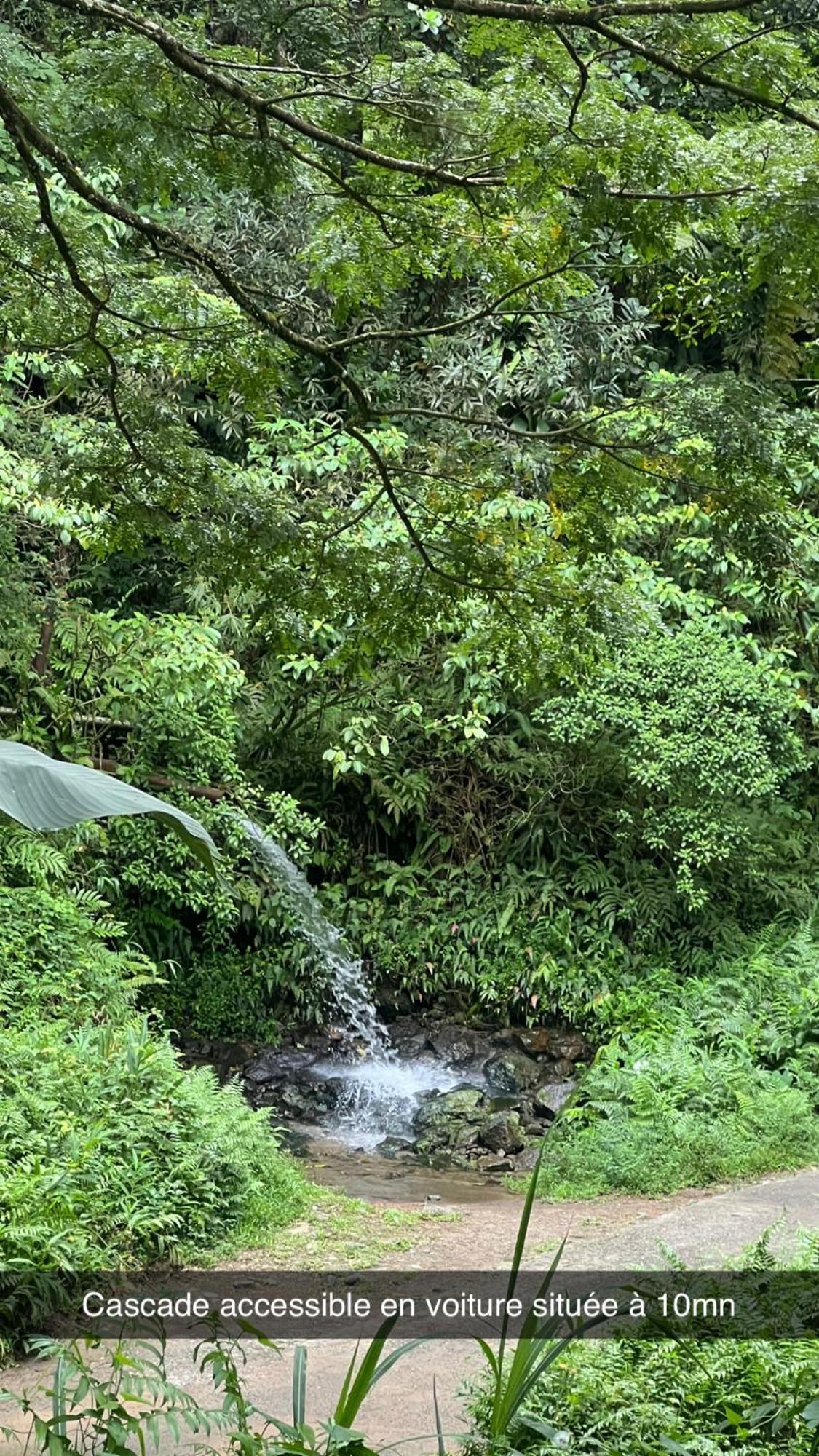 Le Ketmie Nature Et Decouverte Fond-Saint-Denis Εξωτερικό φωτογραφία
